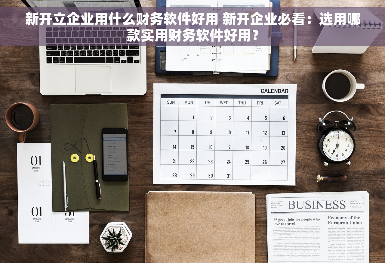 新开立企业用什么财务软件好用 新开企业必看：选用哪款实用财务软件好用？