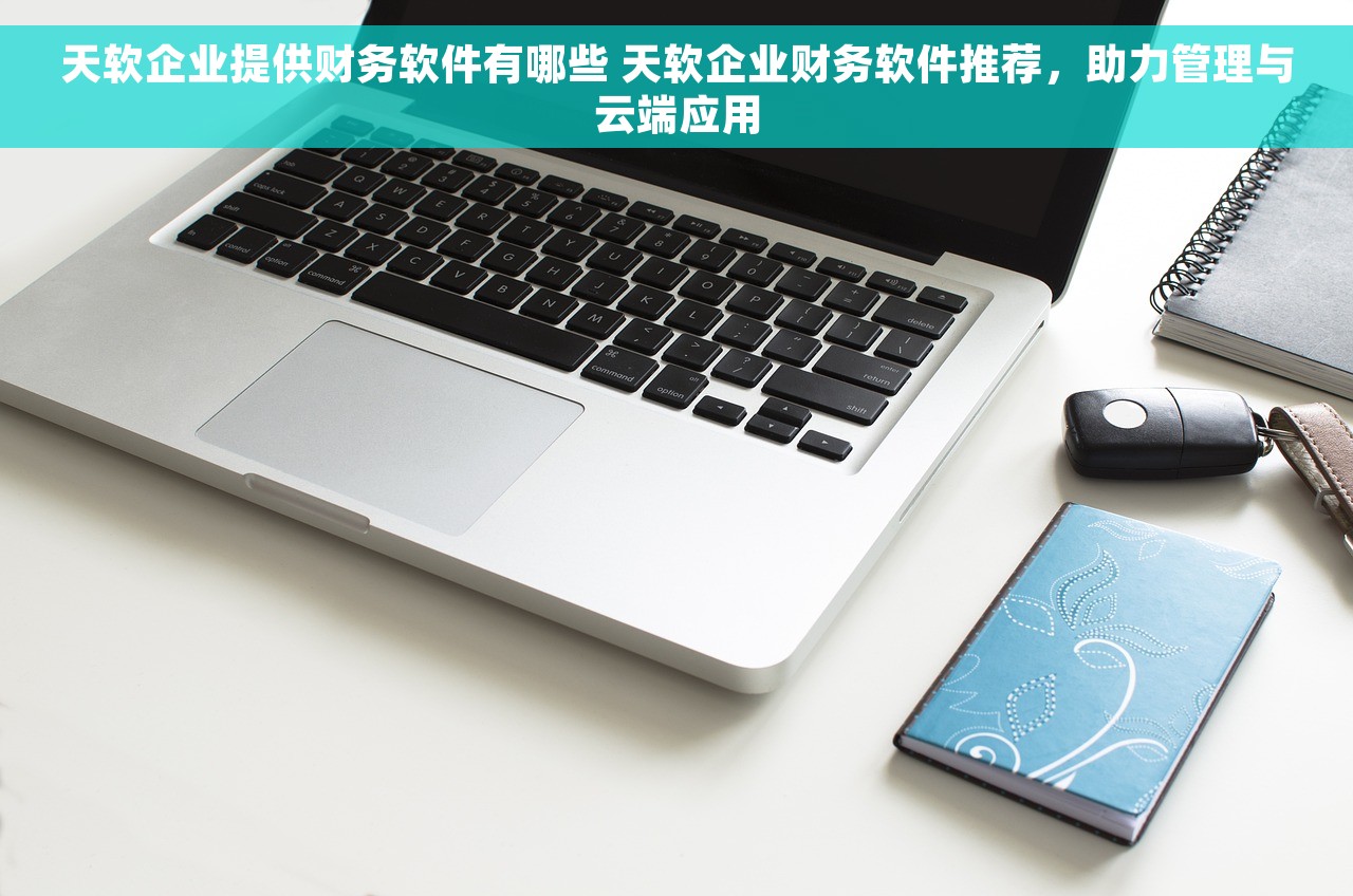 天软企业提供财务软件有哪些 天软企业财务软件推荐，助力管理与云端应用