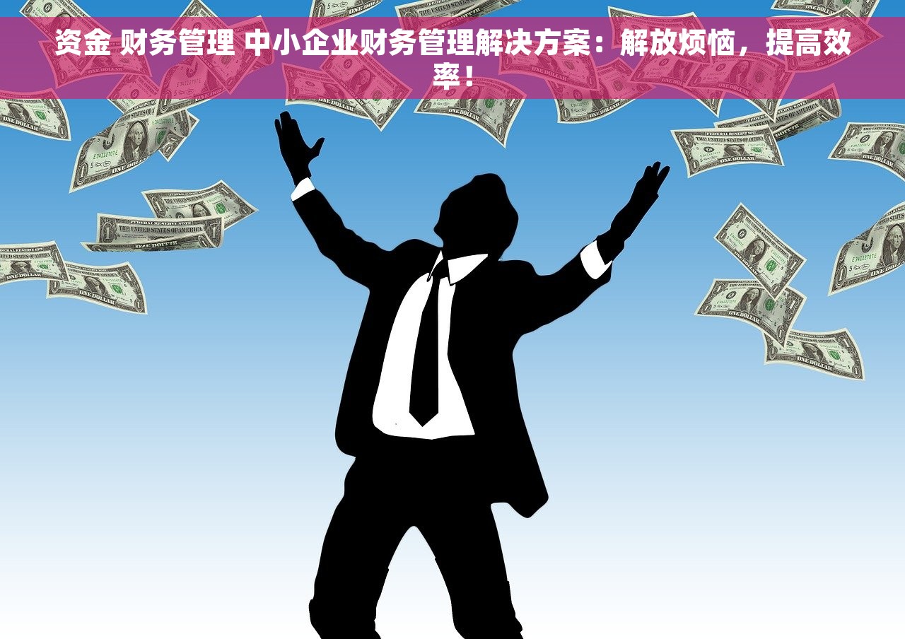 资金 财务管理 中小企业财务管理解决方案：解放烦恼，提高效率！