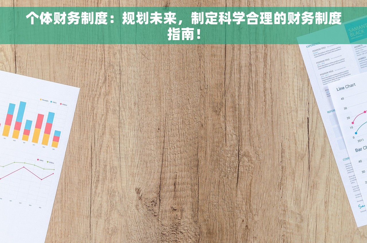 个体财务制度：规划未来，制定科学合理的财务制度指南！