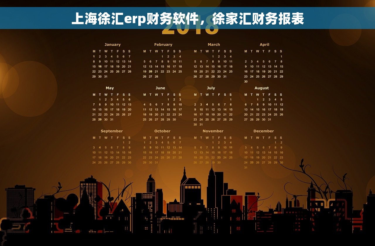 上海徐汇erp财务软件，徐家汇财务报表