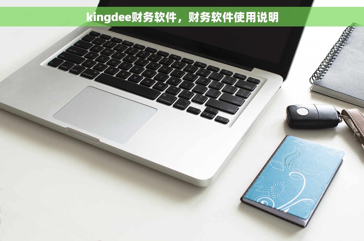 kingdee财务软件，财务软件使用说明