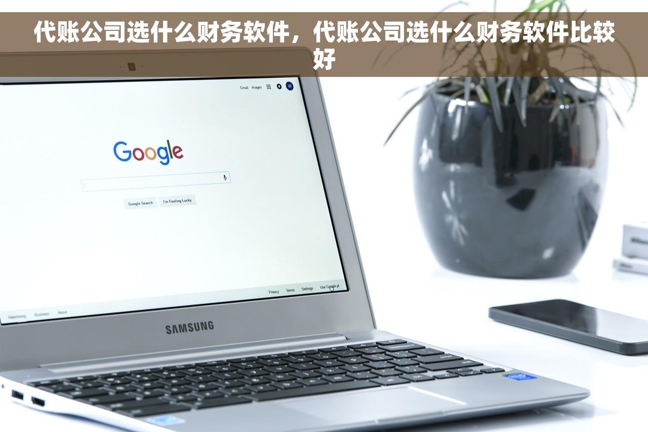 代账公司选什么财务软件，代账公司选什么财务软件比较好