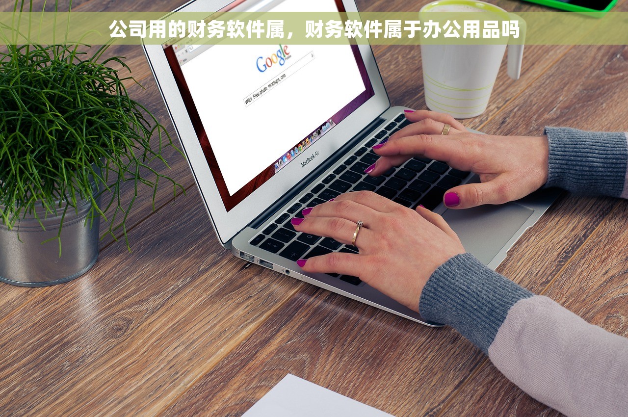 公司用的财务软件属，财务软件属于办公用品吗