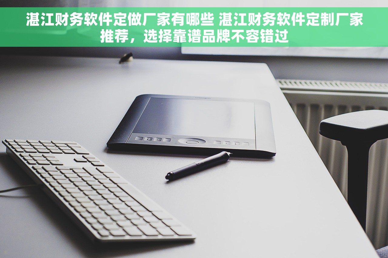 湛江财务软件定做厂家有哪些 湛江财务软件定制厂家推荐，选择靠谱品牌不容错过