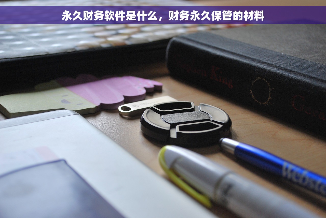 永久财务软件是什么，财务永久保管的材料