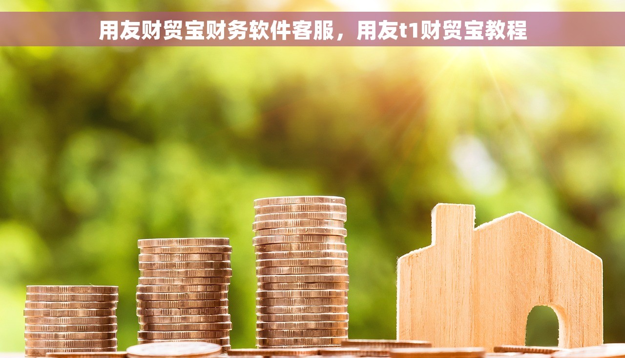 用友财贸宝财务软件客服，用友t1财贸宝教程