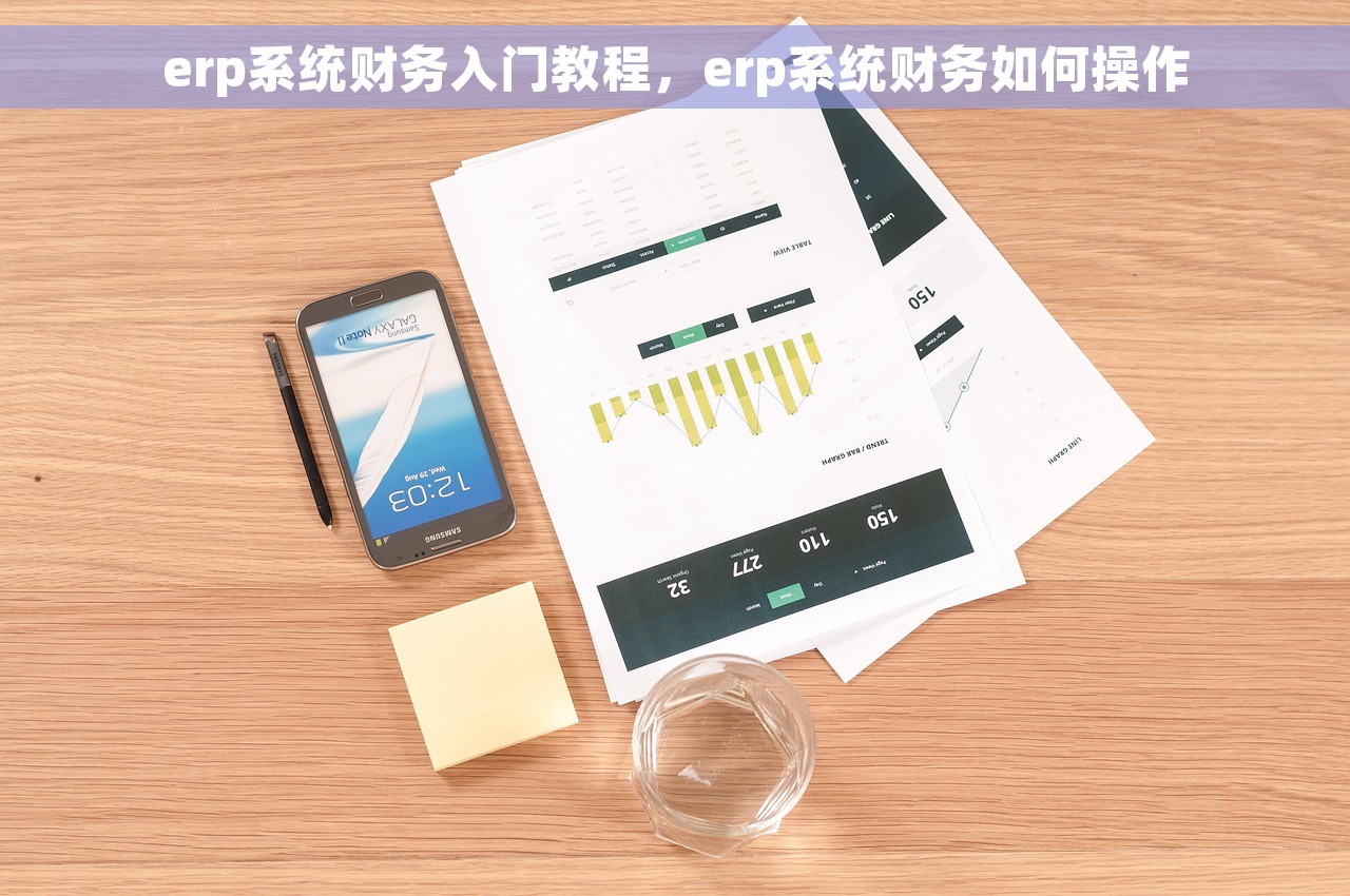 erp系统财务入门教程，erp系统财务如何操作