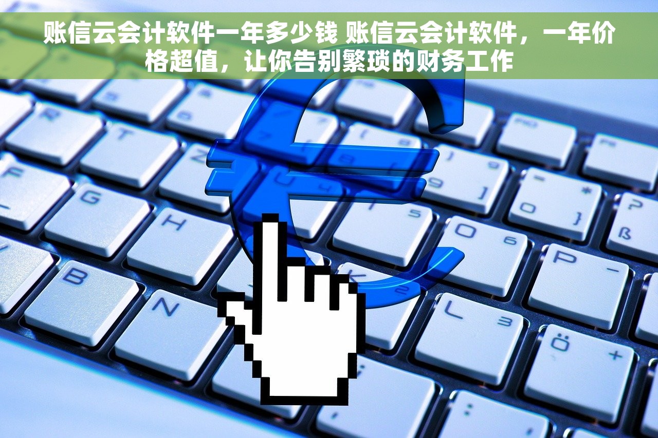 账信云会计软件一年多少钱 账信云会计软件，一年价格超值，让你告别繁琐的财务工作