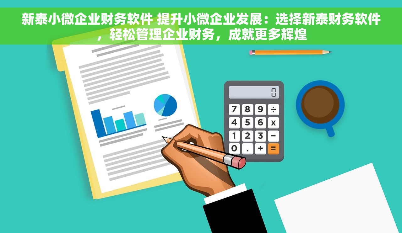 新泰小微企业财务软件 提升小微企业发展：选择新泰财务软件，轻松管理企业财务，成就更多辉煌