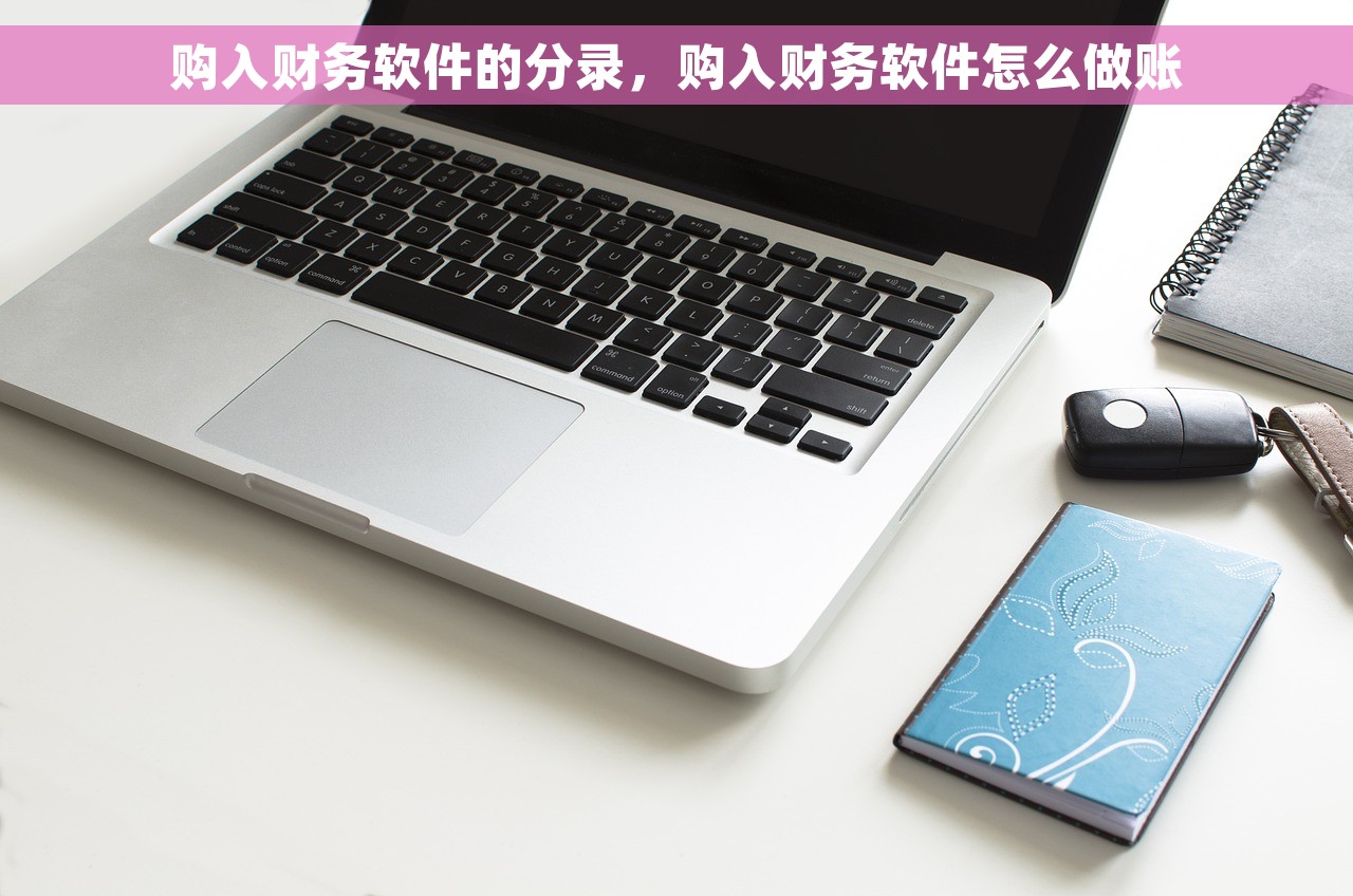 购入财务软件的分录，购入财务软件怎么做账