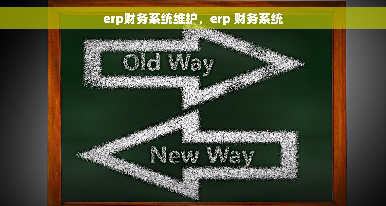 erp财务系统维护，erp 财务系统