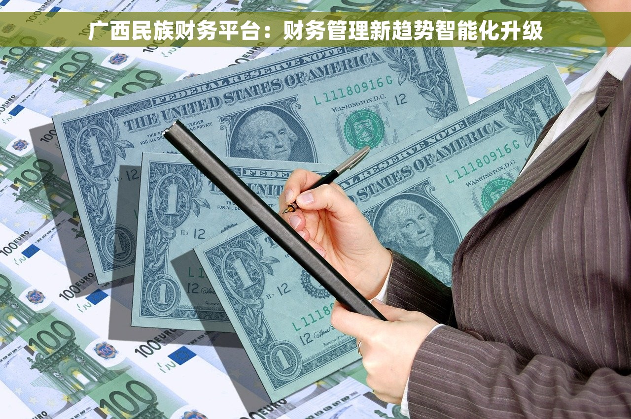 广西民族财务平台：财务管理新趋势智能化升级