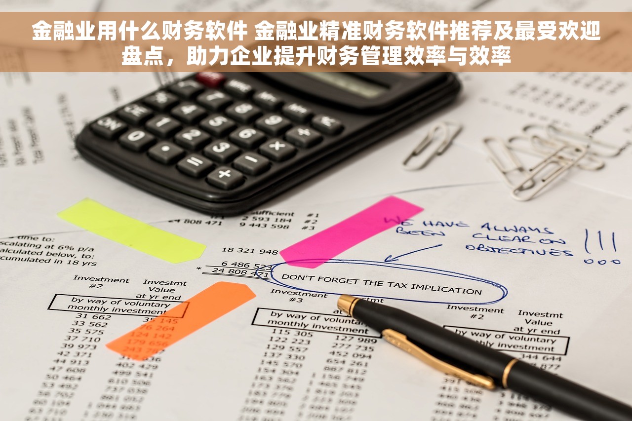金融业用什么财务软件 金融业精准财务软件推荐及最受欢迎盘点，助力企业提升财务管理效率与效率