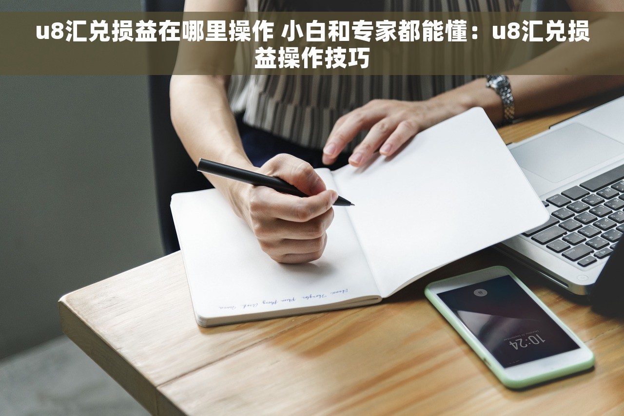 u8汇兑损益在哪里操作 小白和专家都能懂：u8汇兑损益操作技巧