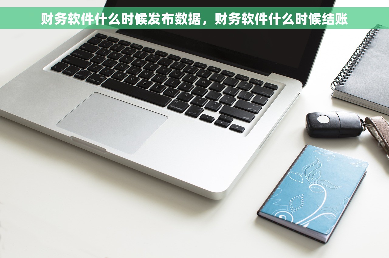 财务软件什么时候发布数据，财务软件什么时候结账