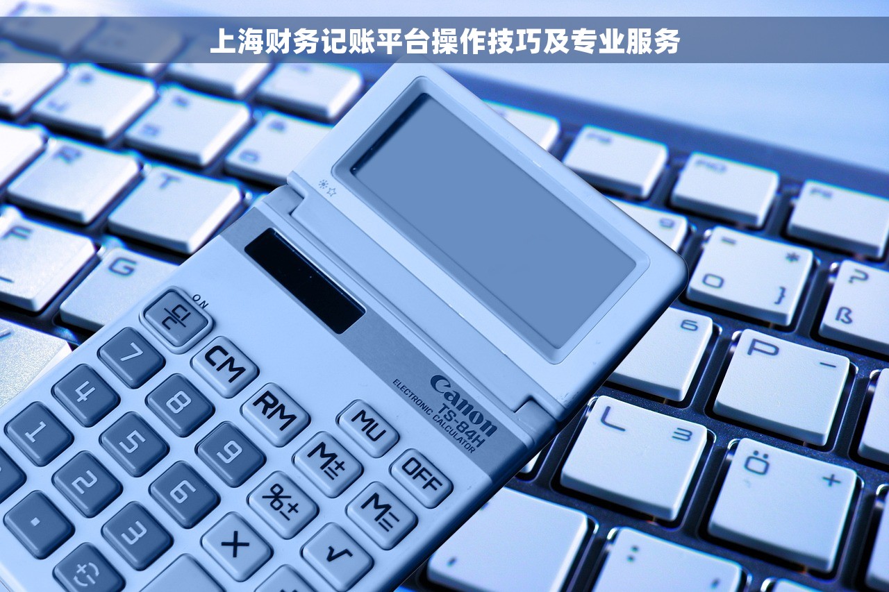 上海财务记账平台操作技巧及专业服务