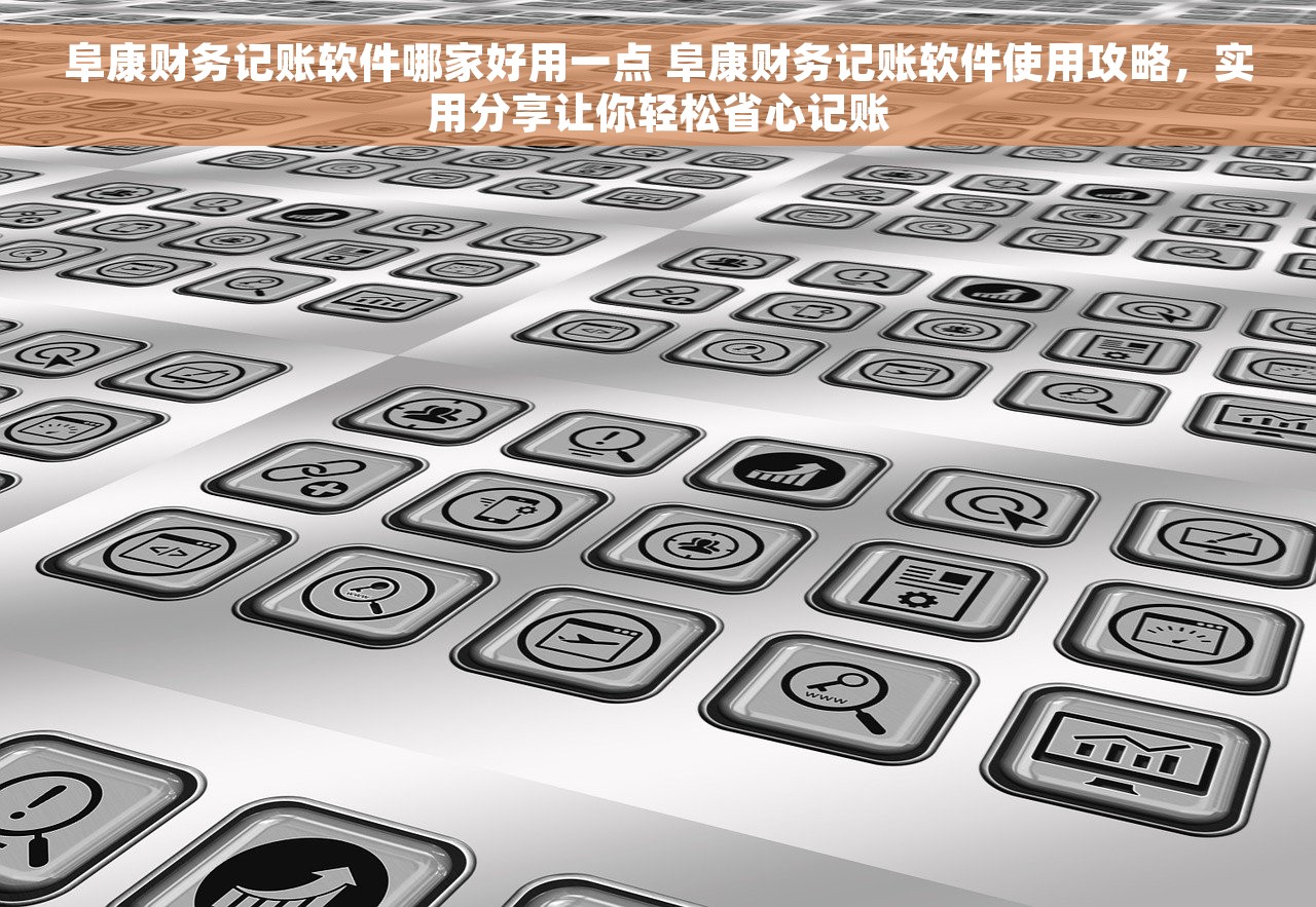 阜康财务记账软件哪家好用一点 阜康财务记账软件使用攻略，实用分享让你轻松省心记账
