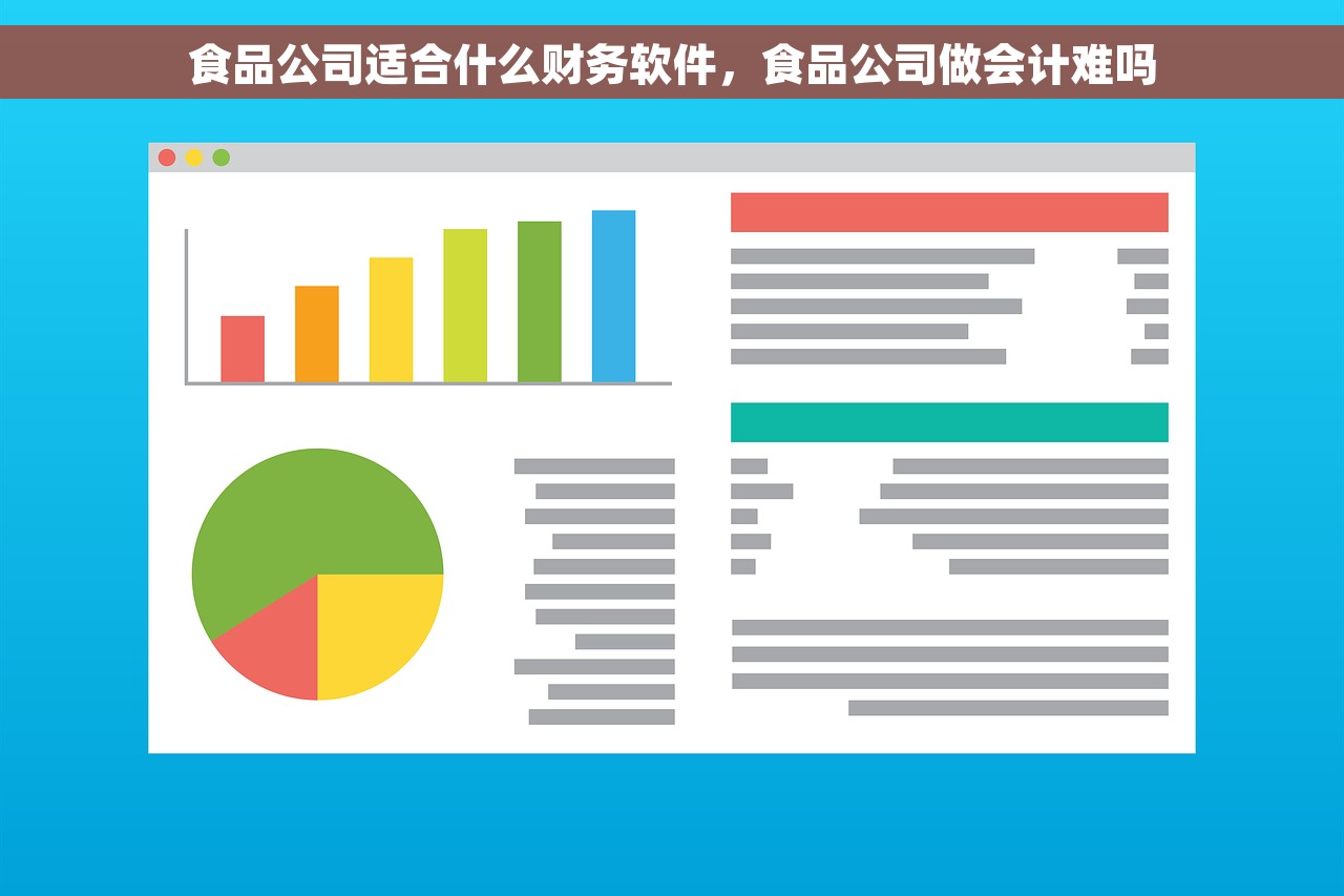 食品公司适合什么财务软件，食品公司做会计难吗