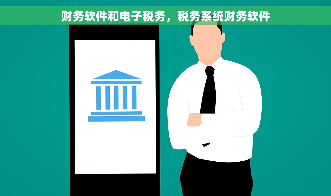 财务软件和电子税务，税务系统财务软件
