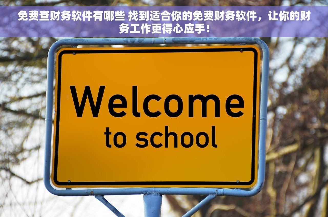 免费查财务软件有哪些 找到适合你的免费财务软件，让你的财务工作更得心应手！