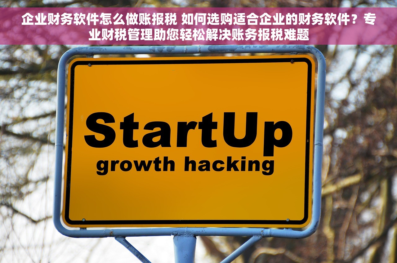 企业财务软件怎么做账报税 如何选购适合企业的财务软件？专业财税管理助您轻松解决账务报税难题