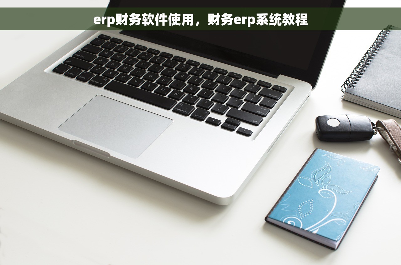 erp财务软件使用，财务erp系统教程