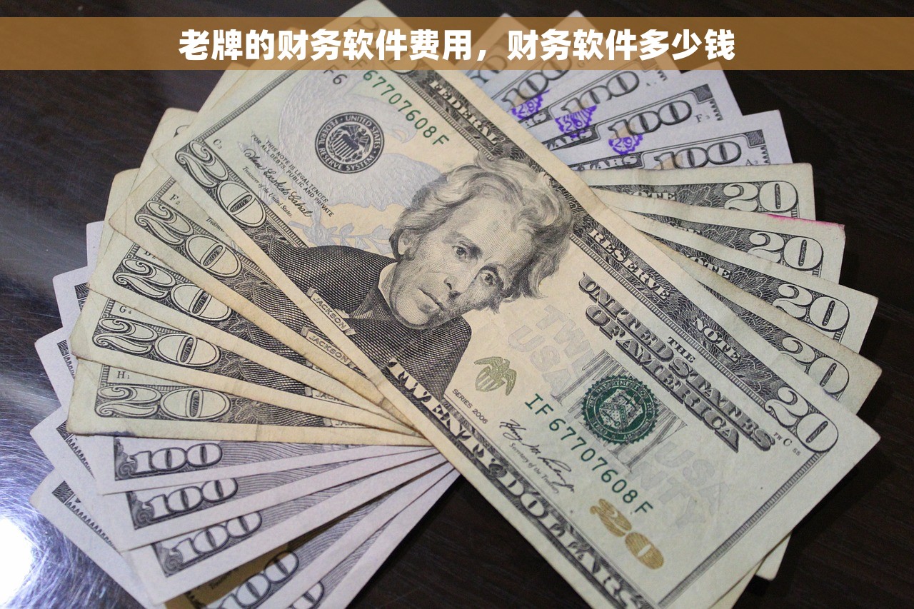 老牌的财务软件费用，财务软件多少钱