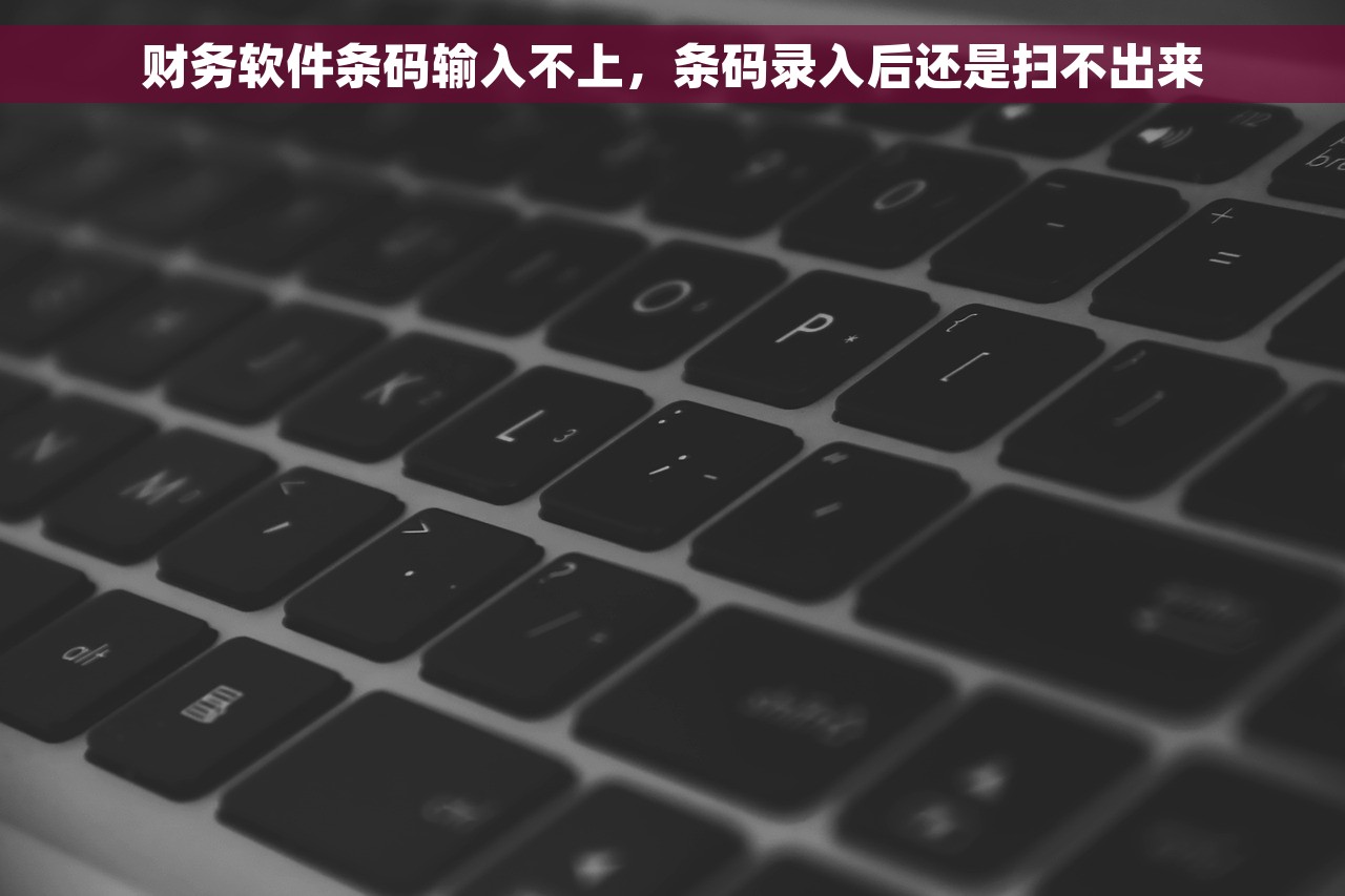 财务软件条码输入不上，条码录入后还是扫不出来