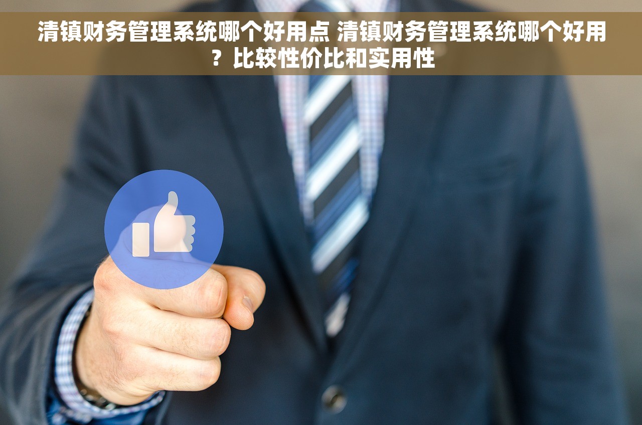 清镇财务管理系统哪个好用点 清镇财务管理系统哪个好用？比较性价比和实用性