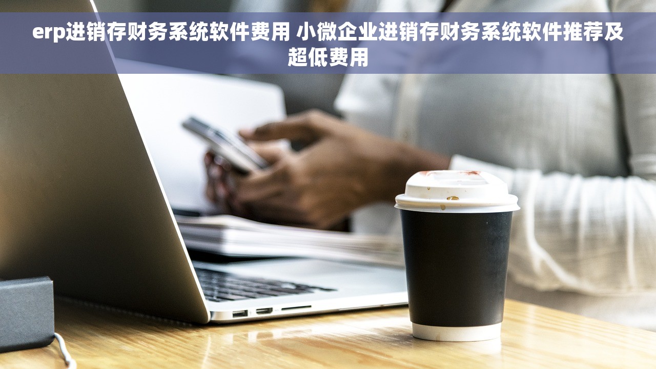 erp进销存财务系统软件费用 小微企业进销存财务系统软件推荐及超低费用