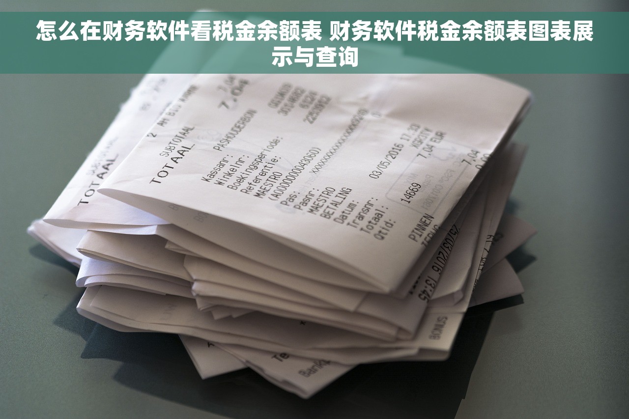 怎么在财务软件看税金余额表 财务软件税金余额表图表展示与查询