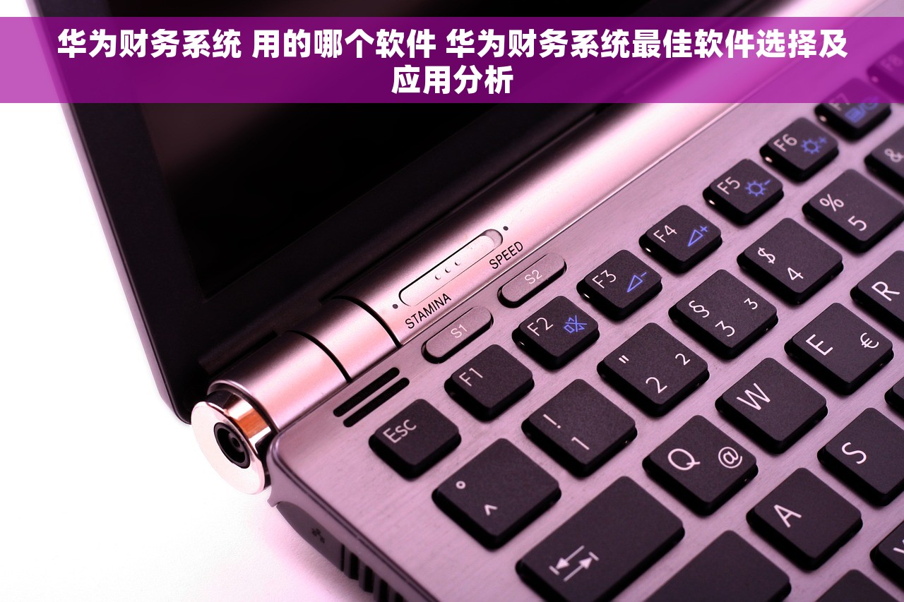 华为财务系统 用的哪个软件 华为财务系统最佳软件选择及应用分析