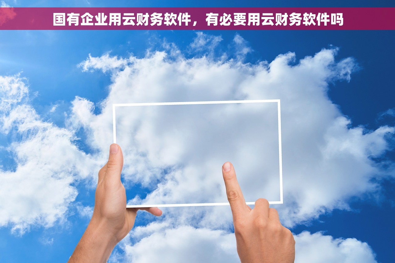 国有企业用云财务软件，有必要用云财务软件吗