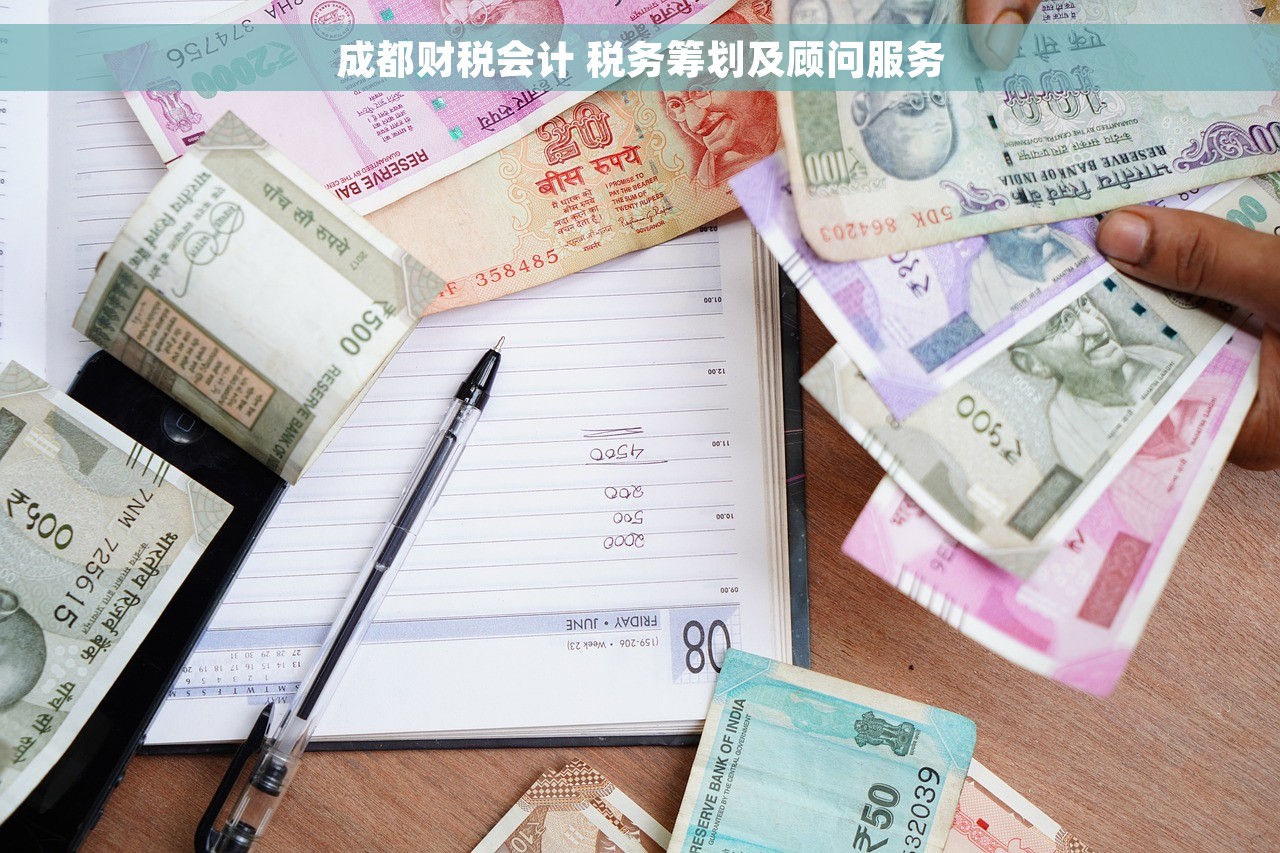 成都财税会计 税务筹划及顾问服务