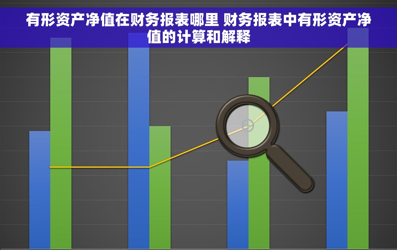 有形资产净值在财务报表哪里 财务报表中有形资产净值的计算和解释