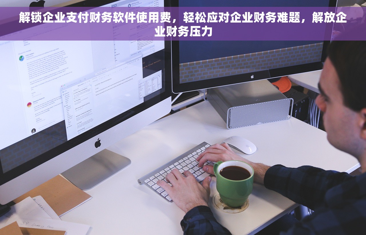 解锁企业支付财务软件使用费，轻松应对企业财务难题，解放企业财务压力