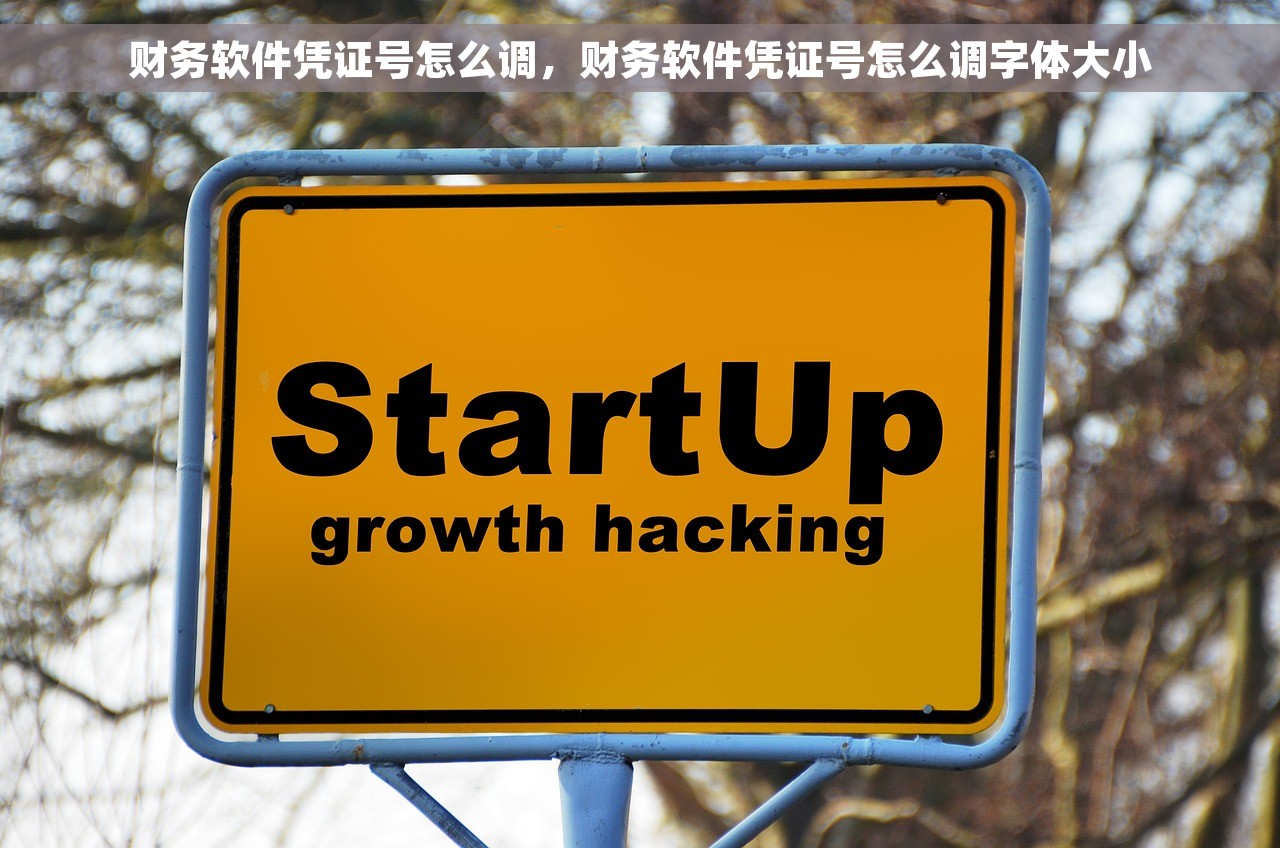 财务软件凭证号怎么调，财务软件凭证号怎么调字体大小
