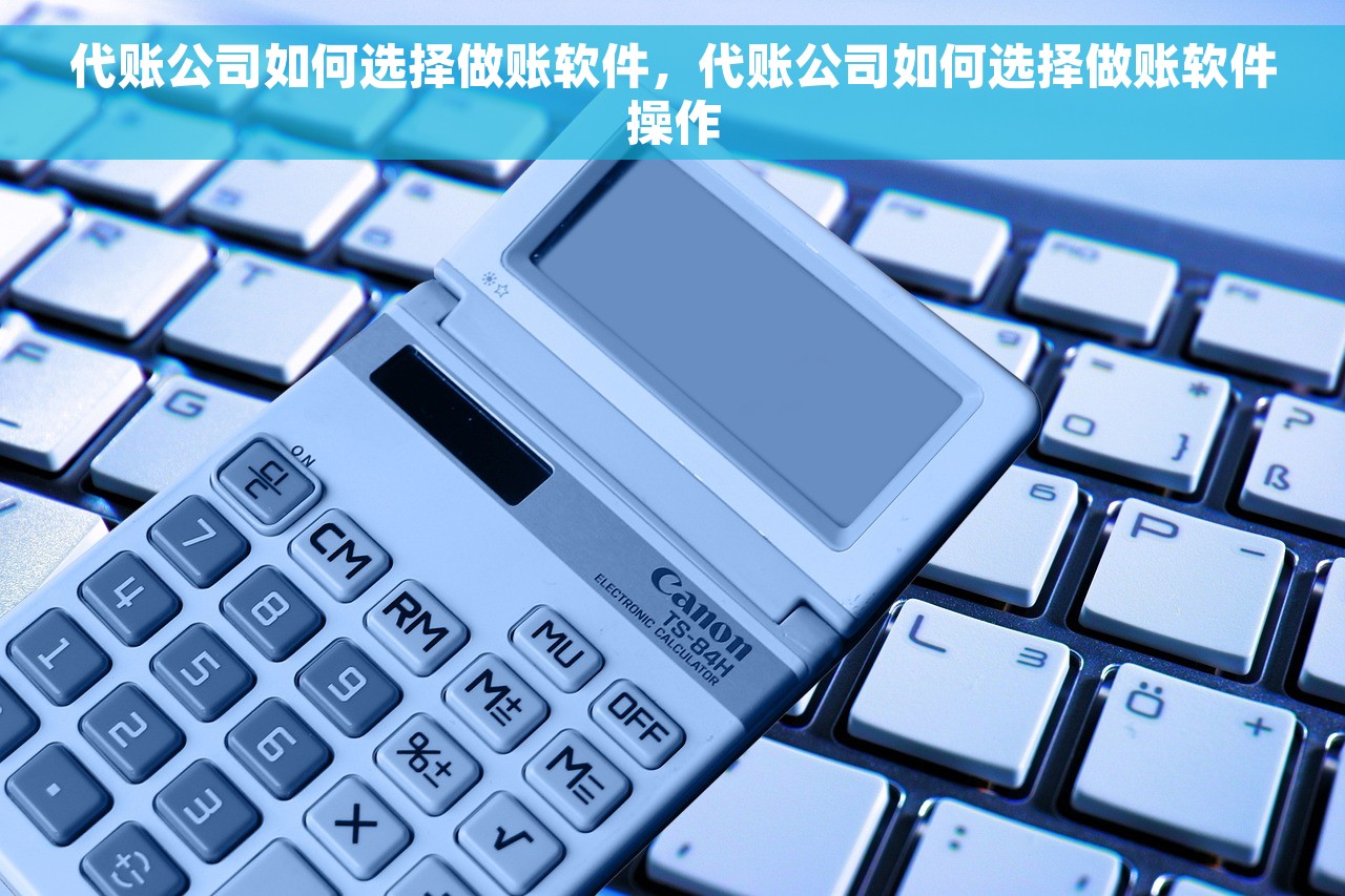 代账公司如何选择做账软件，代账公司如何选择做账软件操作