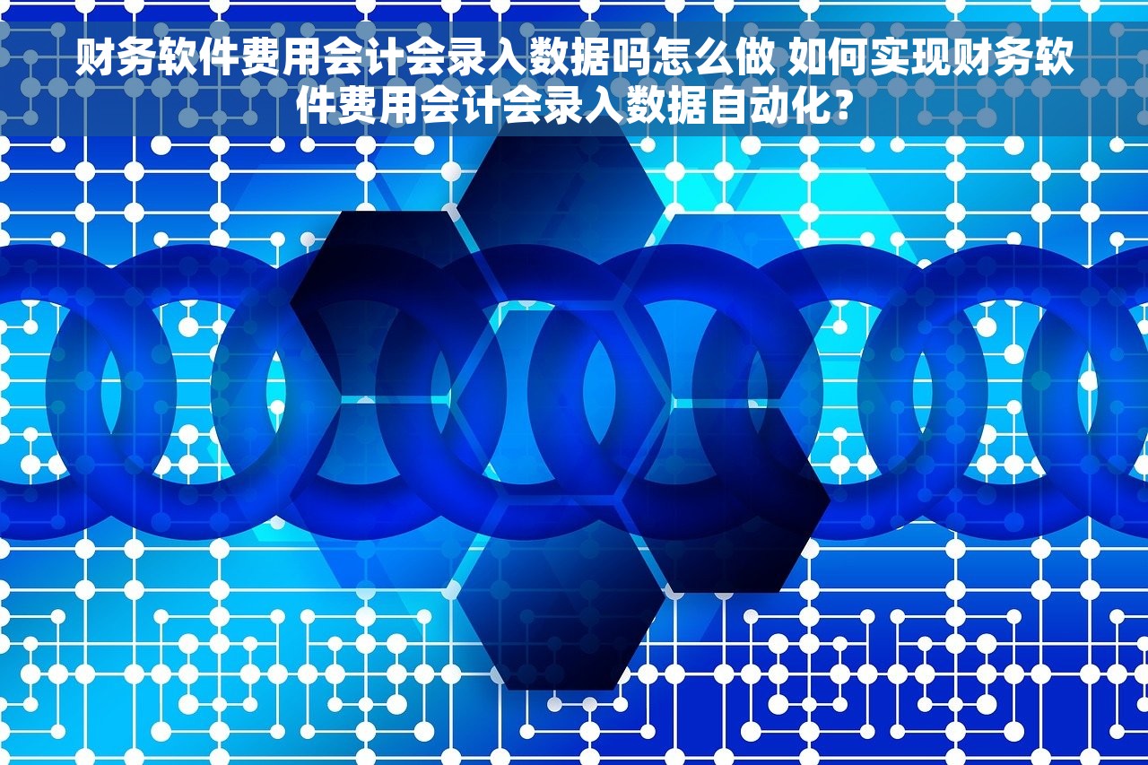 财务软件费用会计会录入数据吗怎么做 如何实现财务软件费用会计会录入数据自动化？