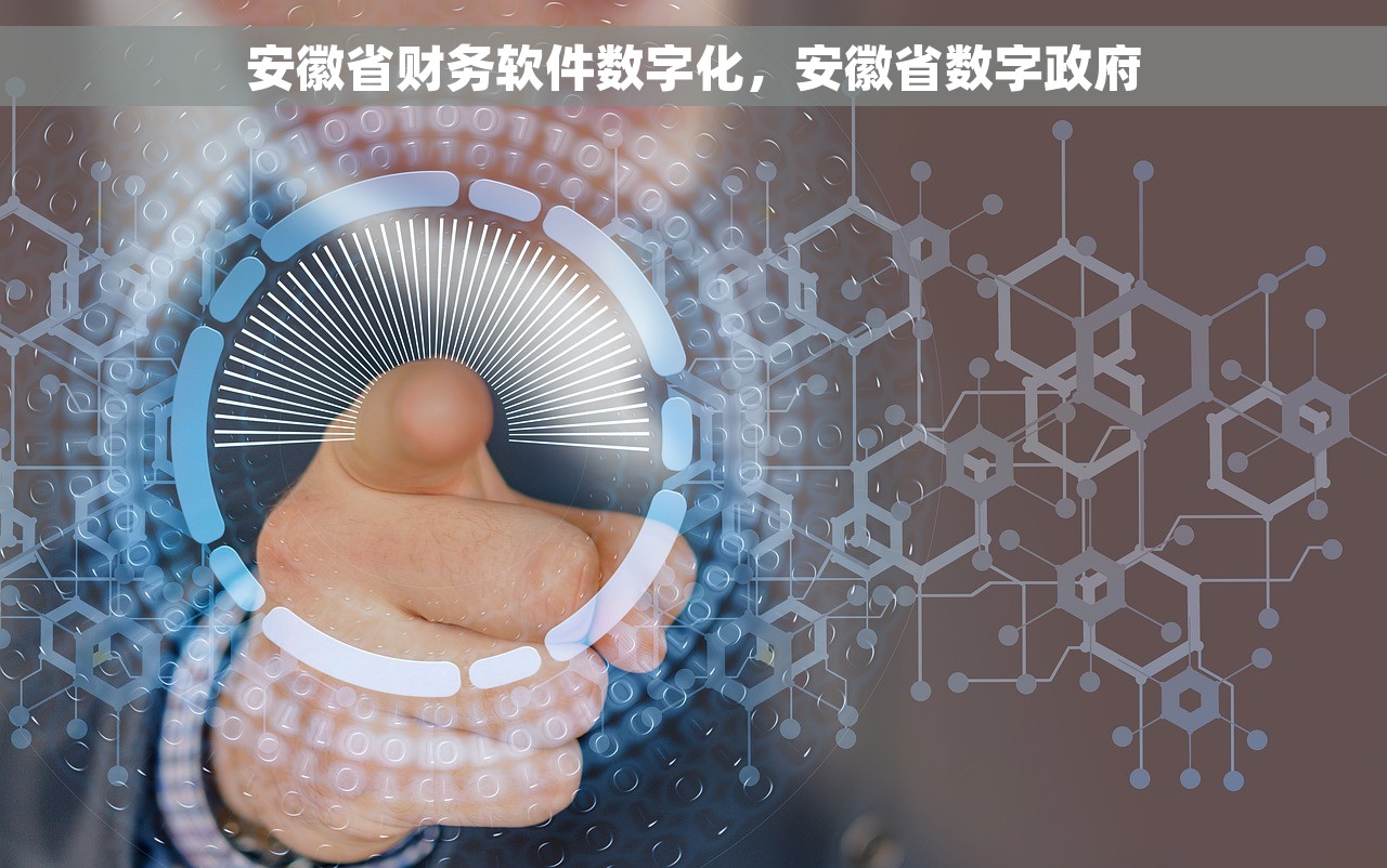 安徽省财务软件数字化，安徽省数字政府