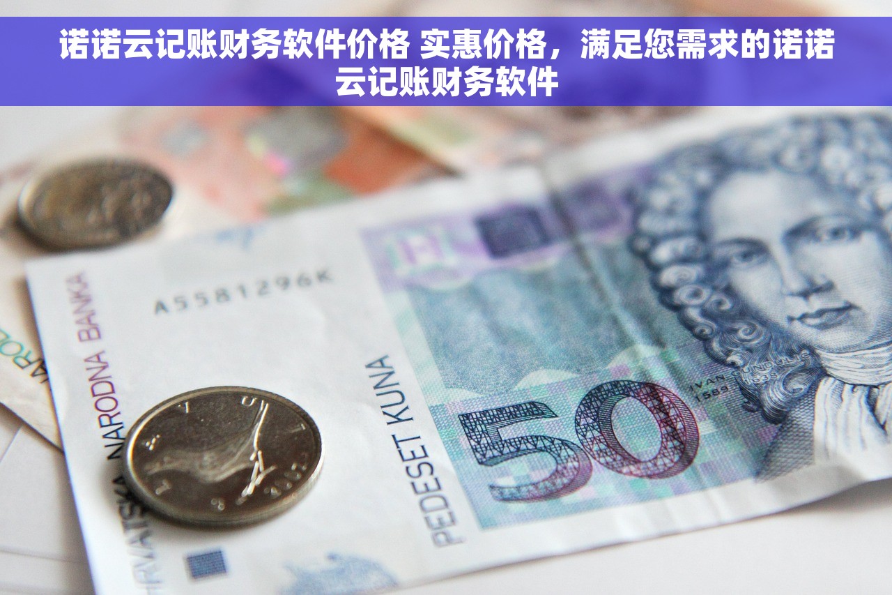 诺诺云记账财务软件价格 实惠价格，满足您需求的诺诺云记账财务软件