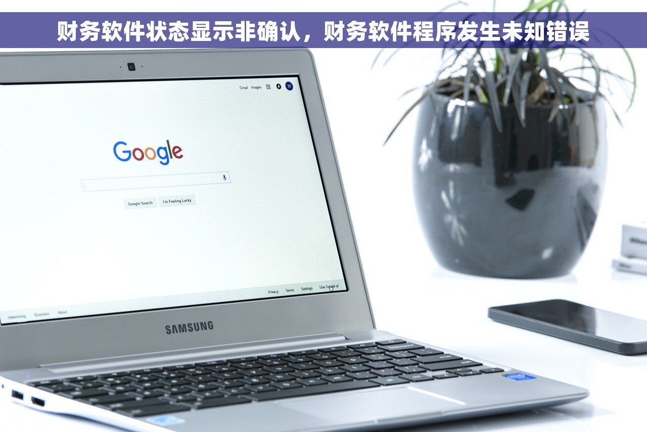 财务软件状态显示非确认，财务软件程序发生未知错误