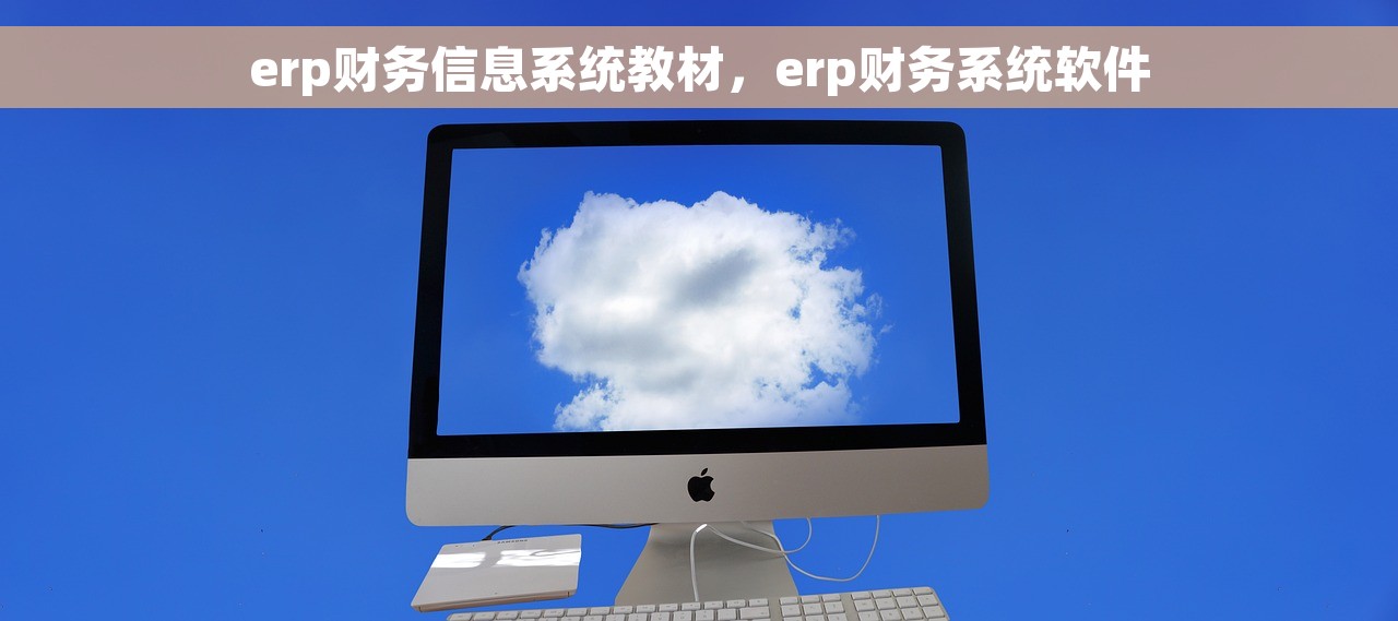 erp财务信息系统教材，erp财务系统软件