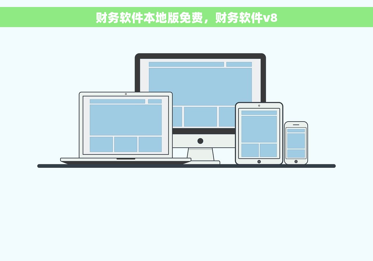 财务软件本地版免费，财务软件v8