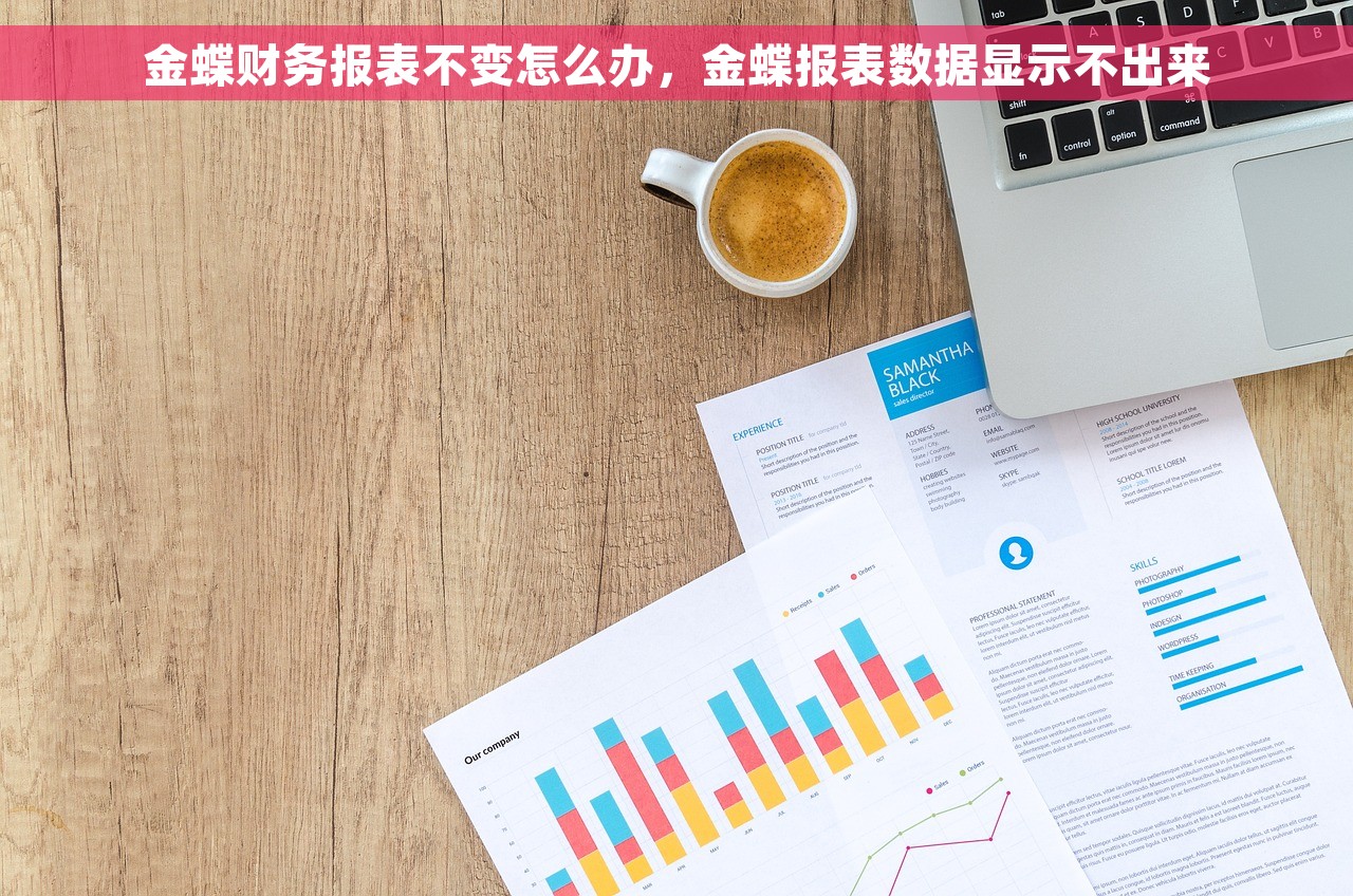 金蝶软件出现负数怎么办，金蝶软件负数怎么标红