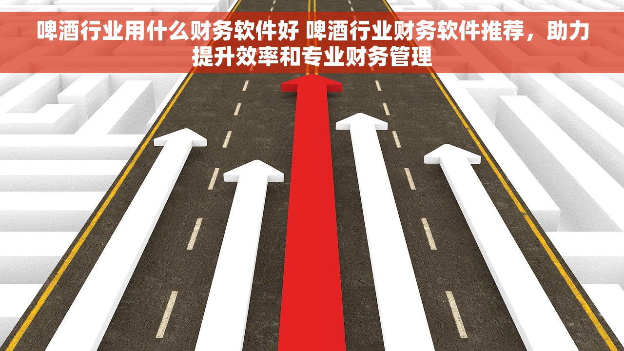 啤酒行业用什么财务软件好 啤酒行业财务软件推荐，助力提升效率和专业财务管理