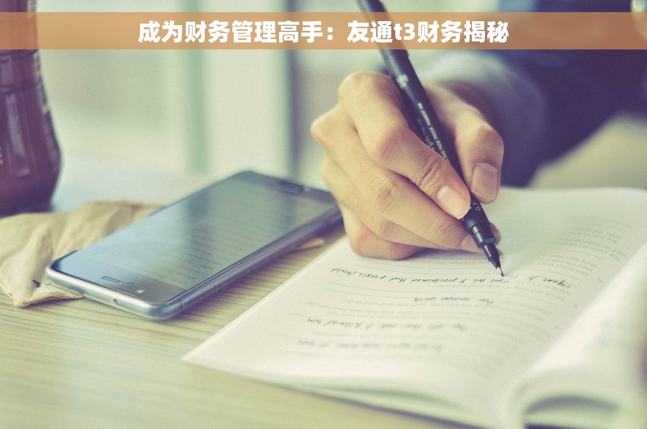 成为财务管理高手：友通t3财务揭秘