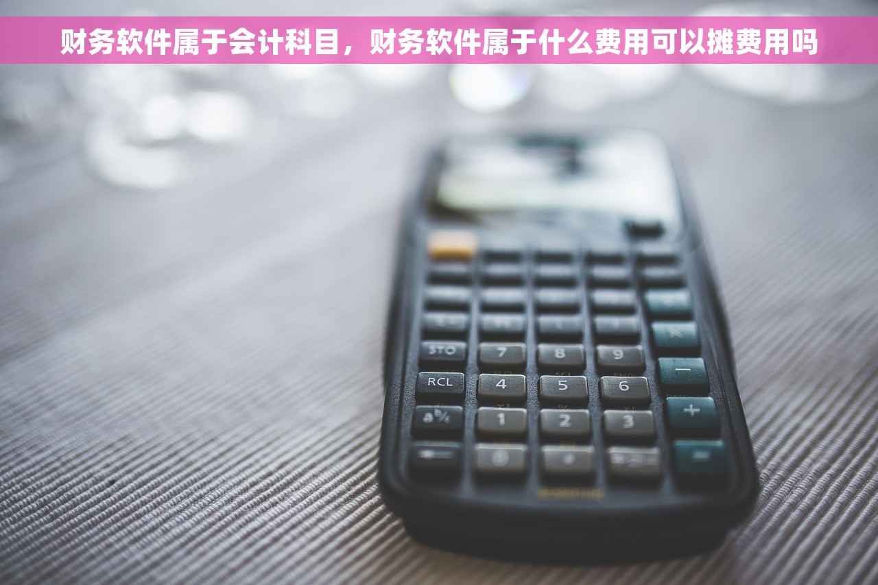 财务软件属于会计科目，财务软件属于什么费用可以摊费用吗