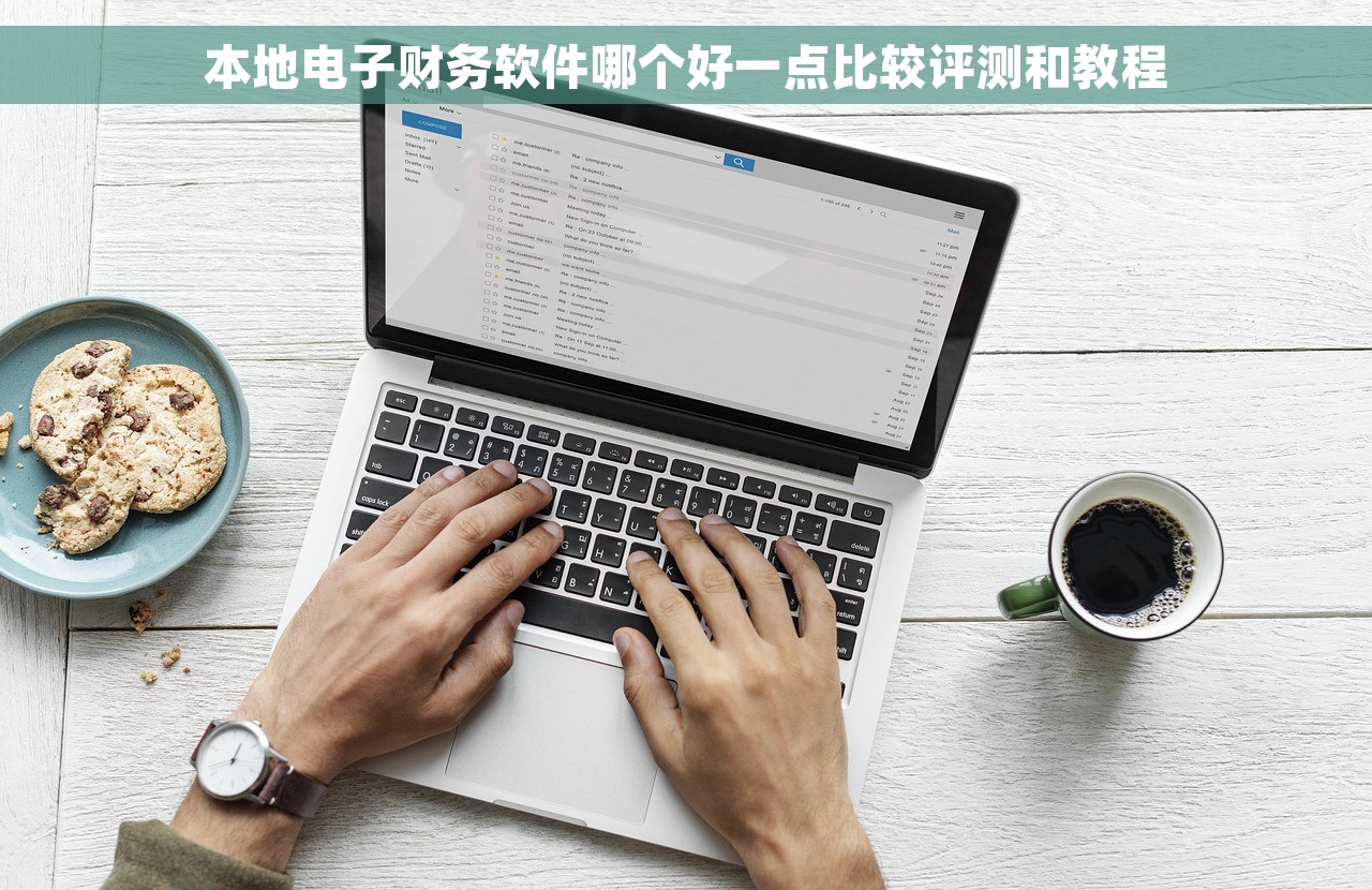 本地电子财务软件哪个好一点比较评测和教程